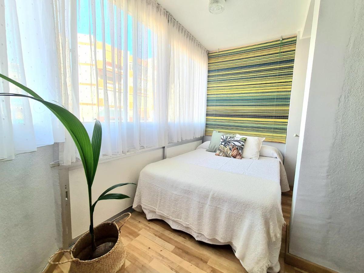 Aa Guest - El Mono De Eco *