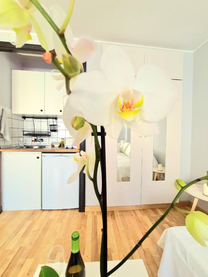 Apartment Aa Guest - El Mono De Eco
